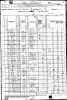 1880 Census - Scottsville, KY - Pitchford