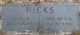 Grave Marker for William W. Hicks RIN 89
